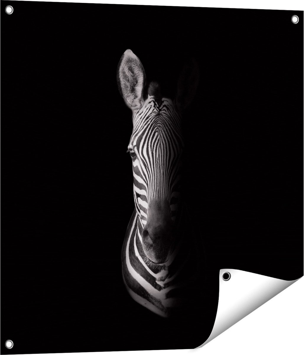 Gards Tuinposter Halve Zebra - Zwart Wit - 70x70 cm - Tuindoek - Tuindecoratie - Wanddecoratie buiten - Tuinschilderij Multikleur