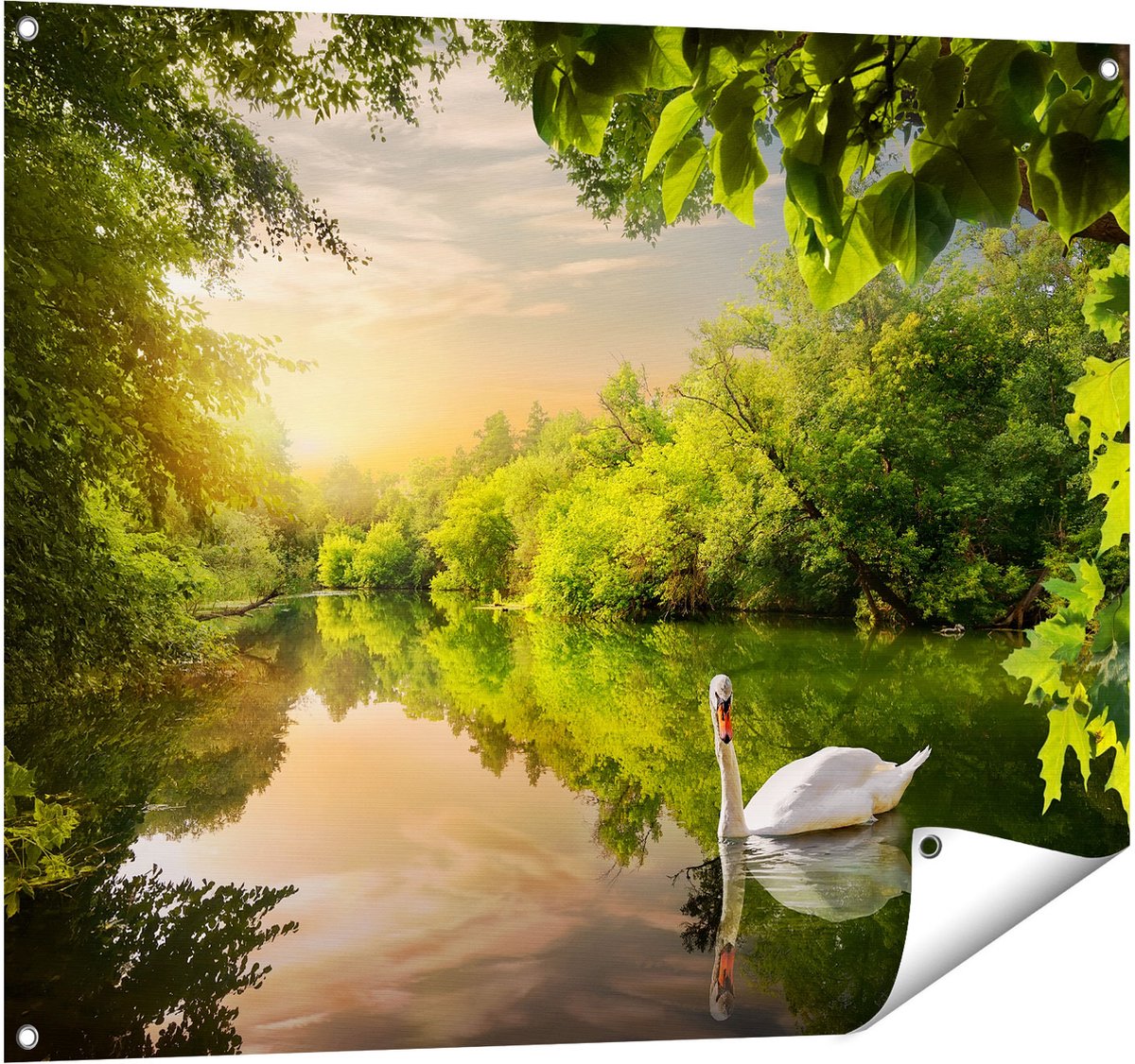Gards Tuinposter Zwaan op het Water in het Bos - 100x80 cm - Tuindoek - Tuindecoratie - Wanddecoratie buiten - Tuinschilderij Multikleur