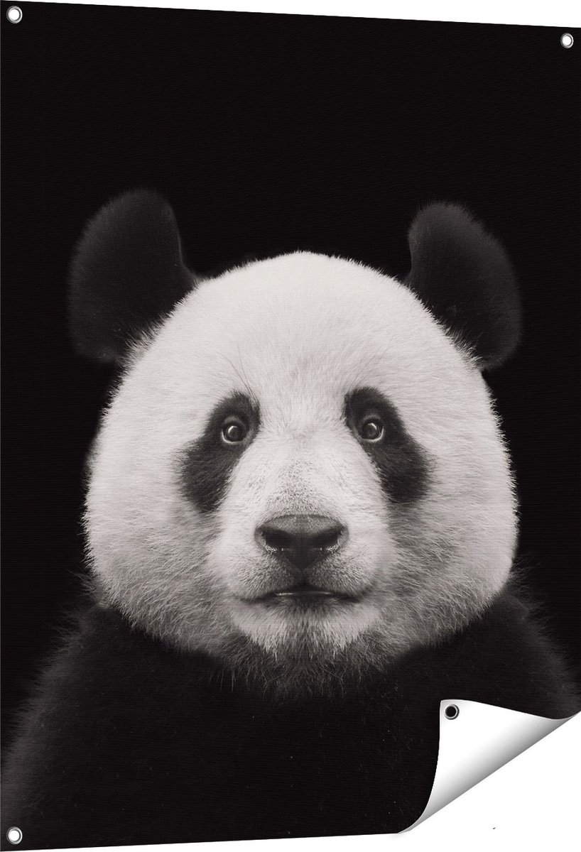 Gards Tuinposter Panda - Pandakop - 80x100 cm - Tuindoek - Tuindecoratie - Wanddecoratie buiten - Tuinschilderij Multikleur