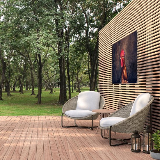 Affiche de jardin du Gards Coq de près - 120x80 cm - Toile de jardin - Décoration de jardin - Décoration murale extérieure - Tableau de jardin
