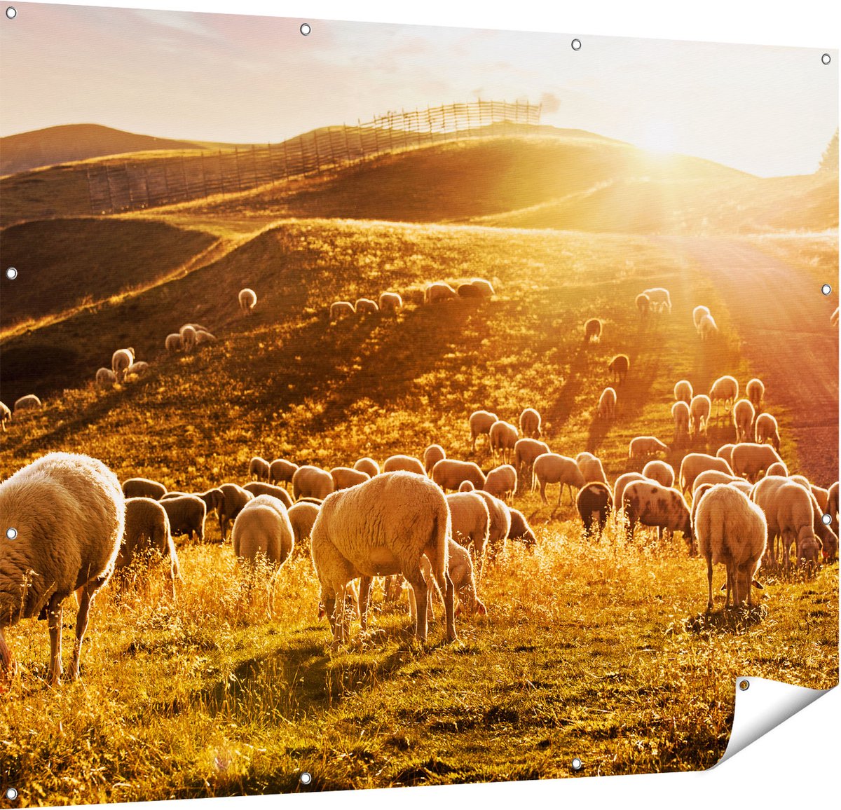 Gards Tuinposter Schapen in de Heuvels bij Zonsondergang - 150x120 cm - Tuindoek - Tuindecoratie - Wanddecoratie buiten - Tuinschilderij Multikleur