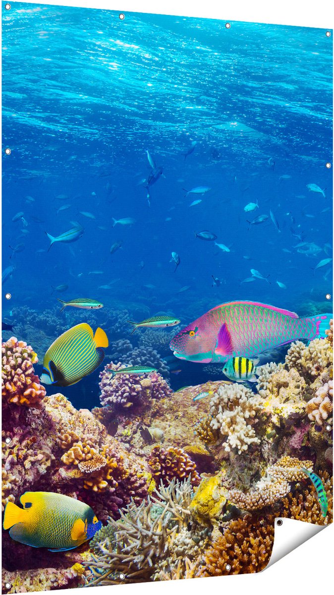 Gards Tuinposter Vissen met Koraalrif in de Oceaan - 120x180 cm - Tuindoek - Tuindecoratie - Wanddecoratie buiten - Tuinschilderij Multikleur