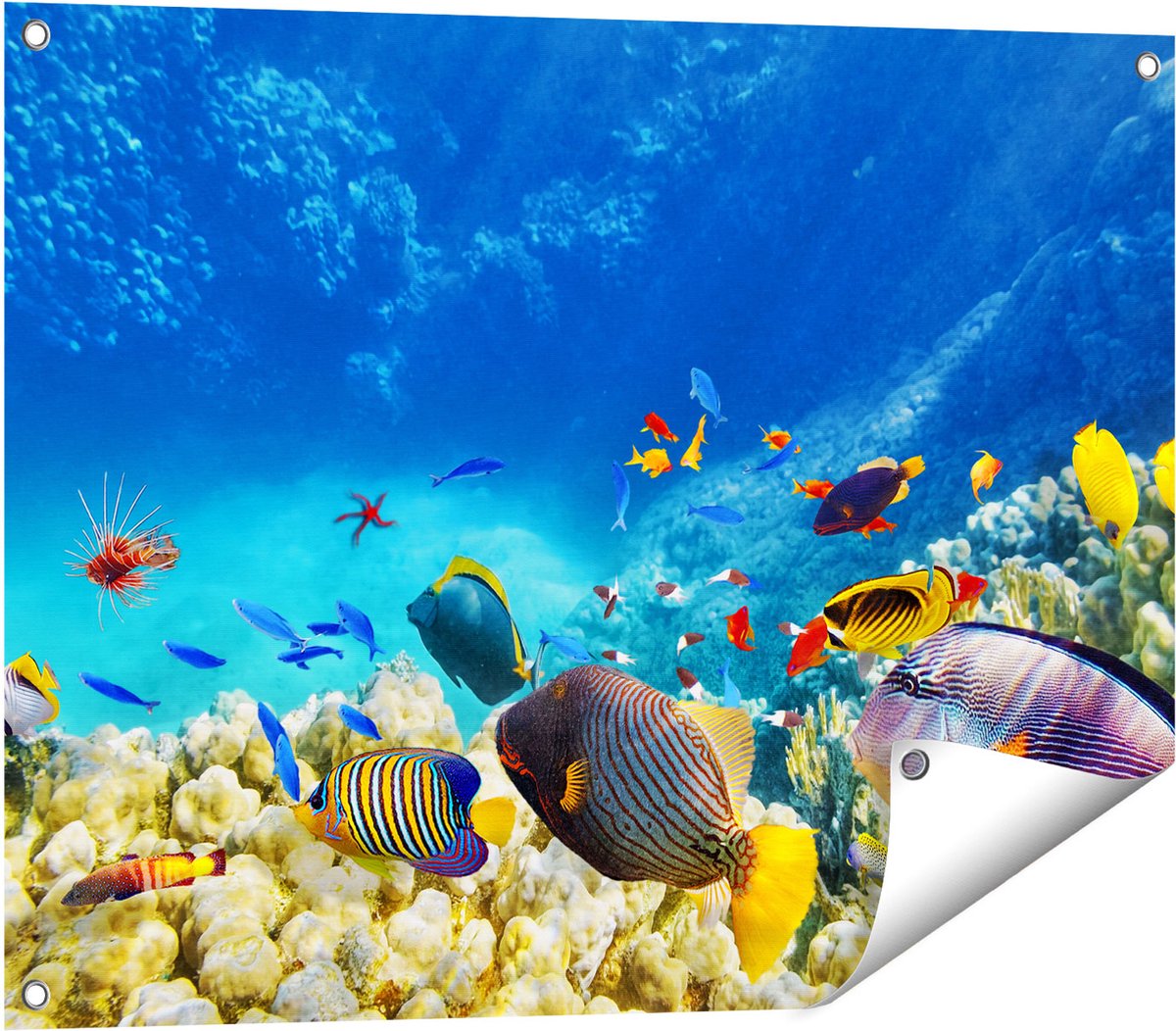 Gards Tuinposter Vissen in de Oceaan met Koralen - 80x60 cm - Tuindoek - Tuindecoratie - Wanddecoratie buiten - Tuinschilderij Multikleur