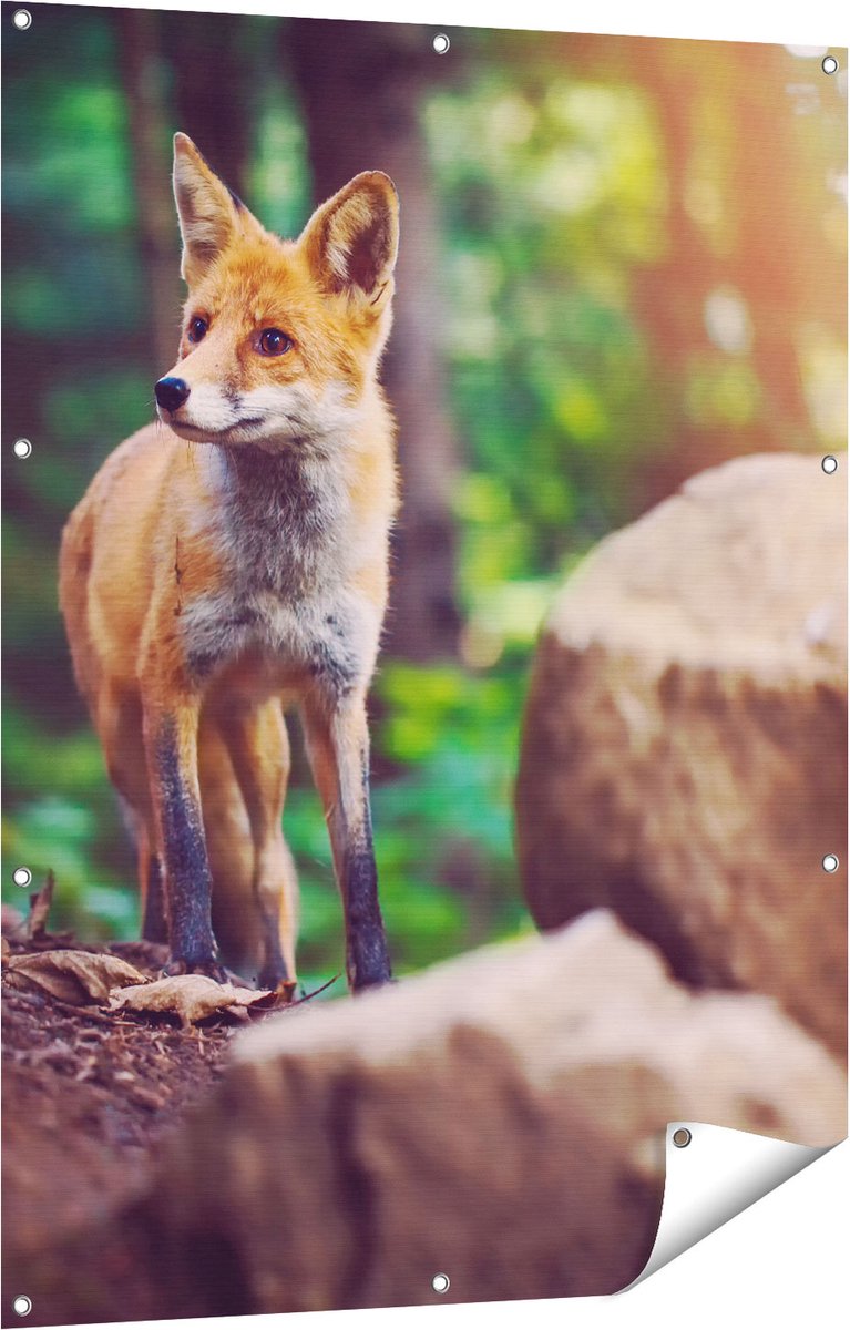 Gards Tuinposter Vos in het Bos bij Stenen - 90x120 cm - Tuindoek - Tuindecoratie - Wanddecoratie buiten - Tuinschilderij Multikleur
