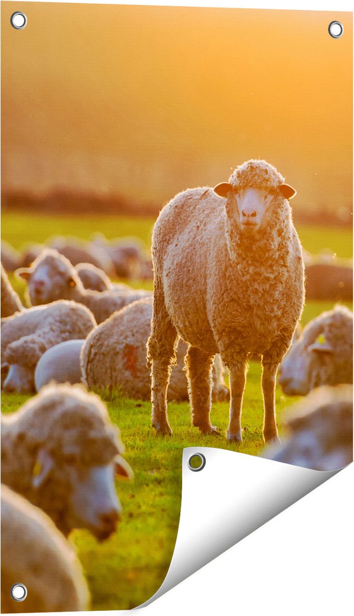 Gards Tuinposter Kudde Schapen bij Zonsondergang - 40x60 cm - Tuindoek - Tuindecoratie - Wanddecoratie buiten - Tuinschilderij Multikleur