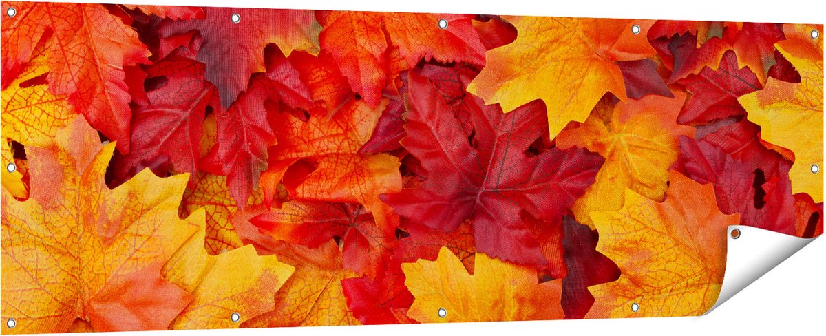 Gards Tuinposter Herfstbladeren in het Oranje en Rood - 180x60 cm - Tuindoek - Tuindecoratie - Wanddecoratie buiten - Tuinschilderij Multikleur
