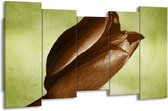 GroepArt - Canvas Schilderij - Tulp - Bruin, Grijs, Zwart - 150x80cm 5Luik- Groot Collectie Schilderijen Op Canvas En Wanddecoraties