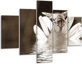 Glasschilderij -  Bloem - Sepia - 100x70cm 5Luik - Geen Acrylglas Schilderij - GroepArt 6000+ Glasschilderijen Collectie - Wanddecoratie- Foto Op Glas
