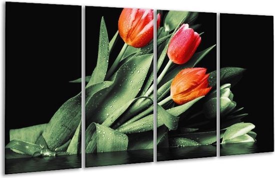 Peinture sur verre tulipe | Rouge, orange, vert | 160x80cm 4 Liège | Tirage photo sur verre |  F003924