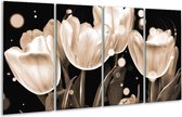 Peinture sur verre tulipe | Blanc gris | 160x80cm 4 Liège | Tirage photo sur verre |  F005071