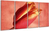 GroepArt - Glasschilderij - Tulp - Rood, Oranje, Geel - 160x80cm 4Luik - Foto Op Glas - Geen Acrylglas Schilderij - 6000+ Glasschilderijen Collectie - Wanddecoratie