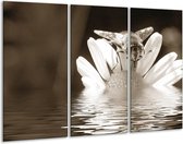 Glasschilderij Bloem - Sepia, Bruin - 120x80cm 3Luik - Foto Op Glas - Geen Acrylglas Schilderij - GroepArt 6000+ Glas Art Collectie - Maatwerk Mogelijk