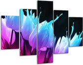 Glasschilderij -  Tulp - Blauw, Paars, Roze - 100x70cm 5Luik - Geen Acrylglas Schilderij - GroepArt 6000+ Glasschilderijen Collectie - Wanddecoratie- Foto Op Glas