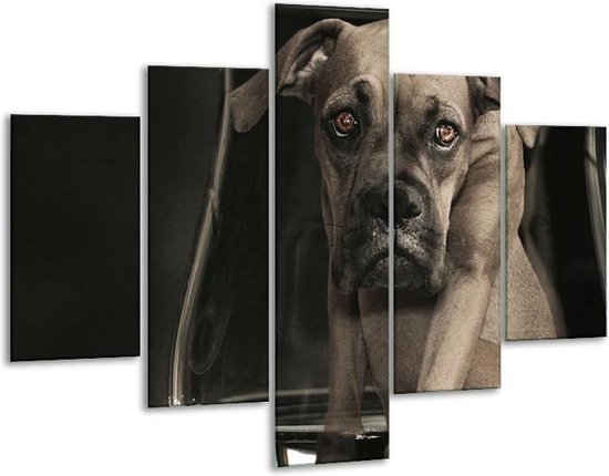 Glasschilderij -  Hond - Grijs, Zwart, Wit - 100x70cm 5Luik - Geen Acrylglas Schilderij - GroepArt 6000+ Glasschilderijen Collectie - Wanddecoratie- Foto Op Glas