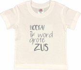 Shirt Aankondiging zwangerschap Ik word grote zus | korte mouw | grijs | maat 86/92 zwangerschap aankondiging bekendmaking Baby big sis sister