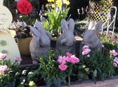 Statue de jardin en béton - Set de 3 lapins / lièvres - Hear, see and speak no evil - lapin / lièvre
