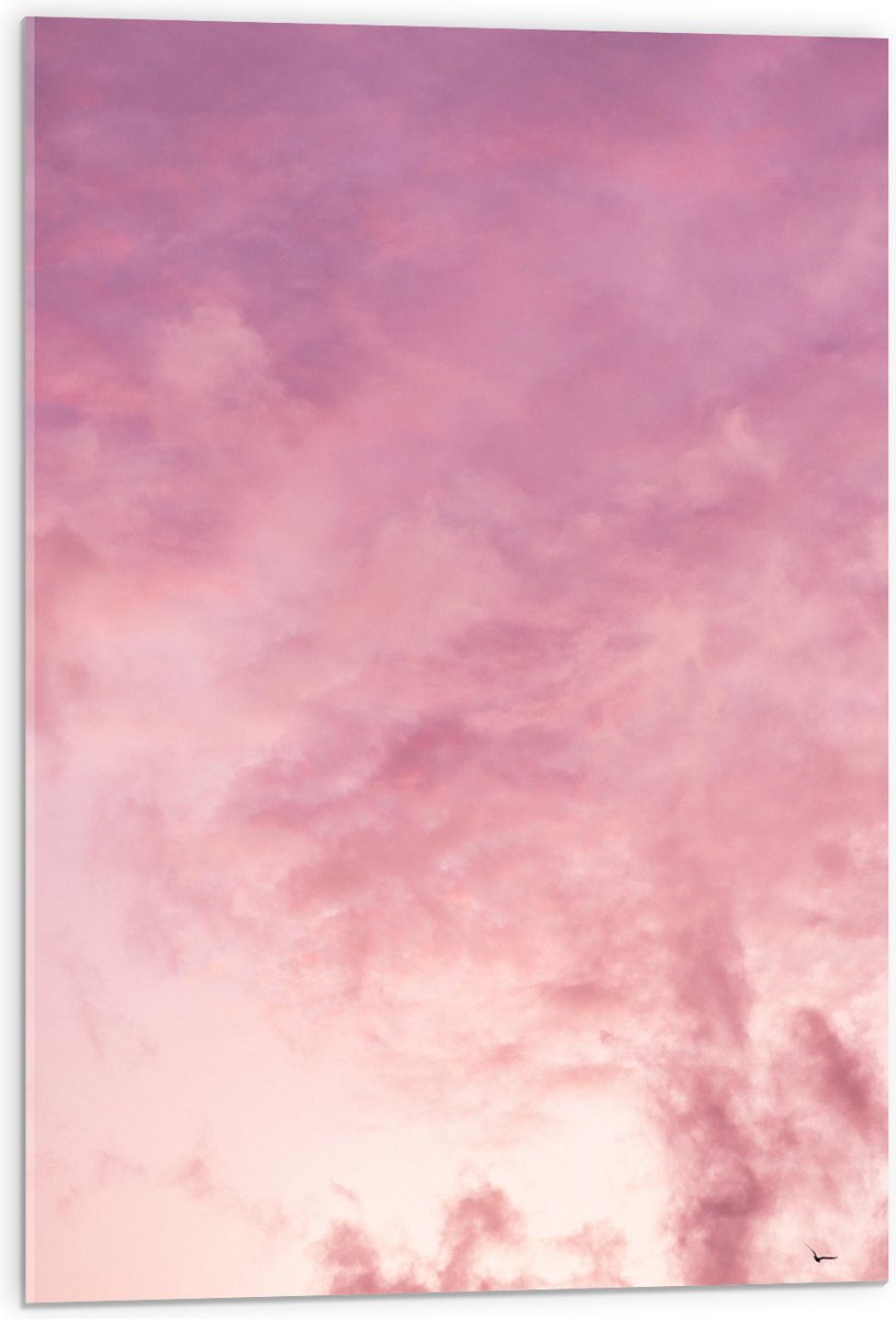 Acrylglas - Zachtroze Lucht met Sluierbewolking - 50x75 cm Foto op Acrylglas (Met Ophangsysteem)