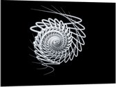 Acrylglas - Wit Slakvormig Object tegen Zwarte Achtergrond - 100x75 cm Foto op Acrylglas (Met Ophangsysteem)