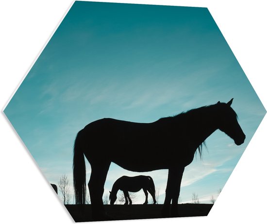 PVC Schuimplaat - Groene Berg in de Mist - 70x105 cm Foto op PVC Schuimplaat (Met