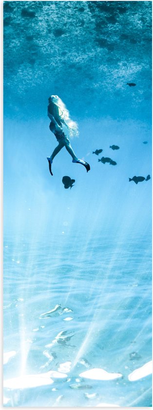 Poster (Mat) - Duiker Richting Wateroppervlak omringd door Vissen - 20x60 cm Foto op Posterpapier met een Matte look