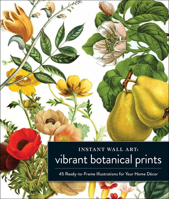 Home Design and Décor Gift Series- Instant Wall Art Vibrant ... - cover