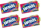 Rainbow Nerds box 4 stuks - Amerikaans Snoep - Snoep box - International candy