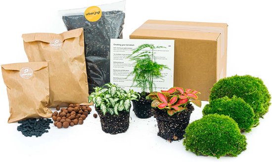 Foto: Planten terrarium pakket asparagus 3 terrarium planten ecosysteem plant startpakket navulling diy ecosysteem planten set inclusief planten substraat terrarium potgrond bolmos actieve kool handleiding en tips urbanjngl