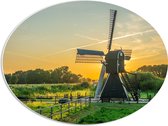 PVC Schuimplaat Ovaal - Windmolen in Weide met Zonsondergang - 56x42 cm Foto op Ovaal (Met Ophangsysteem)