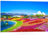 WallClassics - PVC Schuimplaat - Kleurrijk Bloemenveld in Park - 75x50 cm Foto op PVC Schuimplaat (Met Ophangsysteem)