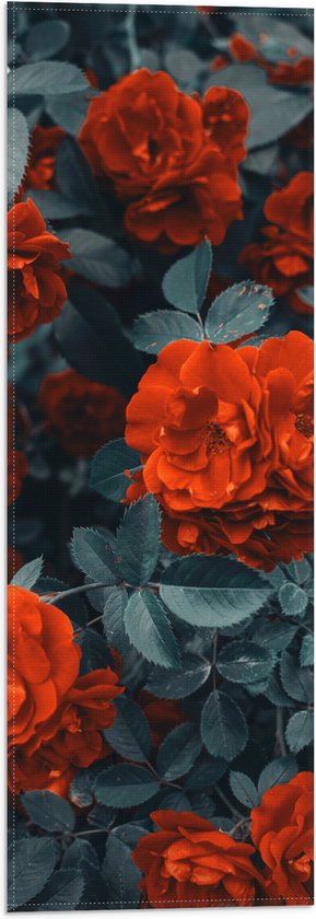 WallClassics - Drapeau - Fleurs rouges sur buisson vert foncé - Photo 20 x 60 cm sur drapeau en polyester