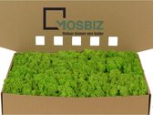 MosBiz Rendiermos Grass Green Light per 1000 gram voor decoraties en mosschilderijen