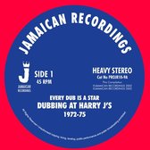 Various Artists - Every Dub Is A Star (10" LP)