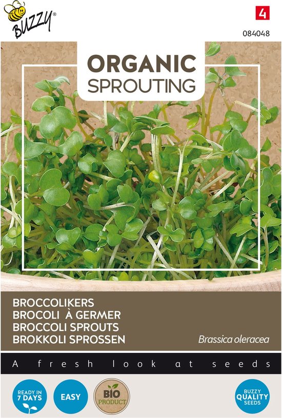 Buzzy® Organic Sprouting Broccolikers (BIO) - Buzzy Seeds Thema