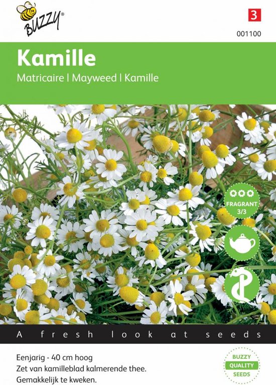 Buzzy zaden - Kamille - Matricaria chamomilla - Buzzy Seeds