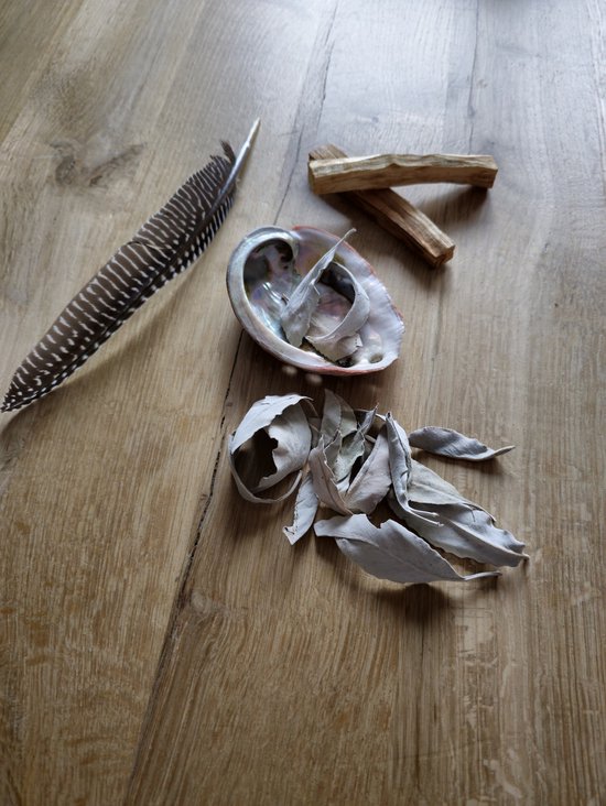 Reinig je huis pakket salie Palo Santo Abalone schelp Smudge Veer bol