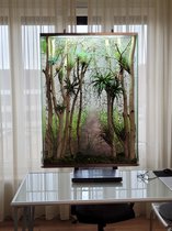 FloraPanels -Levende planten schilderij- incl. plantenlamp, ophangsysteem en achtergrond folie als raam of glazenwand decoratie
