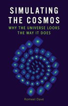 Universe - Simulating the Cosmos