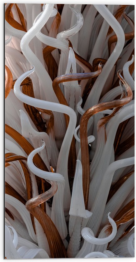 Dibond - Abstracte Bruine en Witte Kronkels - 50x100 cm Foto op Aluminium (Wanddecoratie van metaal)