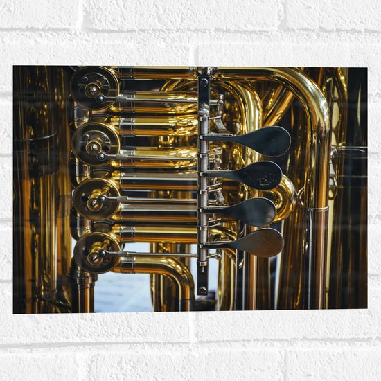 Muursticker - Knoppen van Gouden Trompet - 40x30 cm Foto op Muursticker