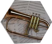 PVC Schuimplaat Hexagon - Gouden Trompet op Muzieknoten Bladeren - 60x52.2 cm Foto op Hexagon (Met Ophangsysteem)