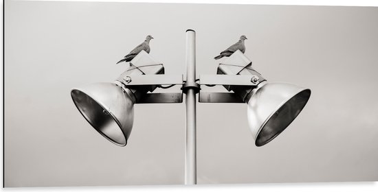 Dibond - Grote Speakers op Paal - 100x50 cm Foto op Aluminium (Met Ophangsysteem)