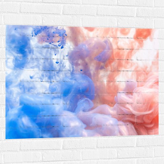 Muursticker - Blauwe en Oranje Rook tegen Witte Achtergrond - 100x75 cm Foto op Muursticker