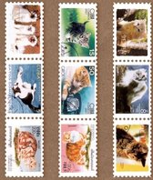Postzegel Tape - Poezen - Washi tape Katten - Tape in postzegelvorm - Leuk voor oa. Bulletjournal, Scrapbooking, Agenda's en Kaarten maken