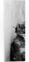 PVC Schuimplaat- Hond Leunend tegen Stenen Muur (Zwart- wit) - 20x60 cm Foto op PVC Schuimplaat