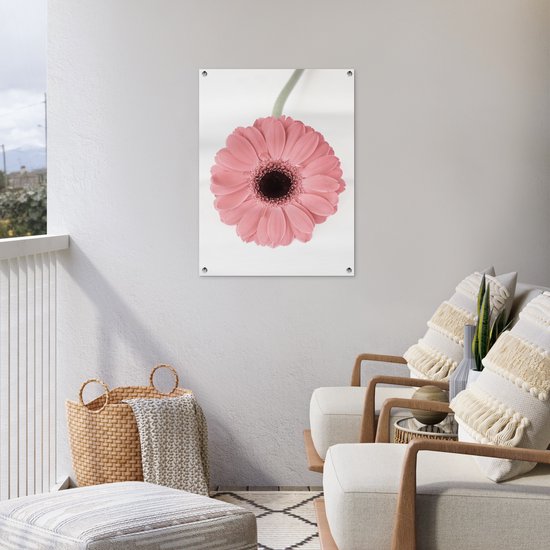 Tableau de jardin Bloem - Rose - Nature - Plante - 60x80 cm - Affiche de jardin - Toile de jardin - Affiche d'extérieur