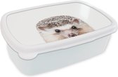 Broodtrommel Wit - Lunchbox - Brooddoos - Egel - Dieren - Natuur - Wit - 18x12x6 cm - Volwassenen