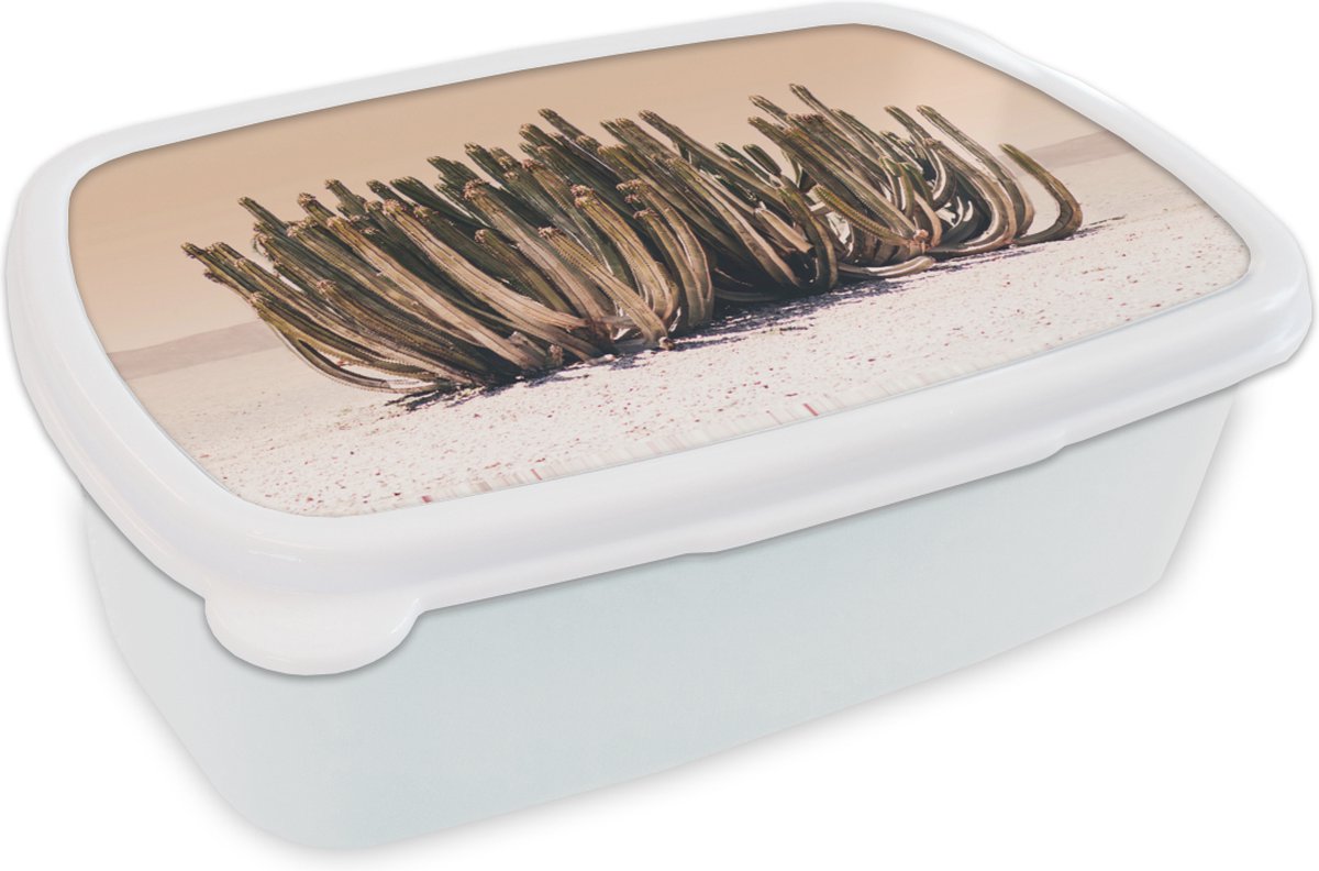 Broodtrommel Wit - Lunchbox - Brooddoos - Cactus - Plant - Natuur - Groen - 18x12x6 cm - Volwassenen