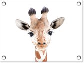 Tuin decoratie Giraffe - Dieren - Natuur - Portret - 40x30 cm - Tuindoek - Buitenposter
