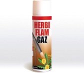 BSI - Herbigaz - Gasfles voor Herbiflam - 30% Propaan - 70% Butaan