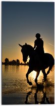 Dibond - Silhouet van Ruiter op Paard rennend door Zeewater - 50x100 cm Foto op Aluminium (Wanddecoratie van metaal)